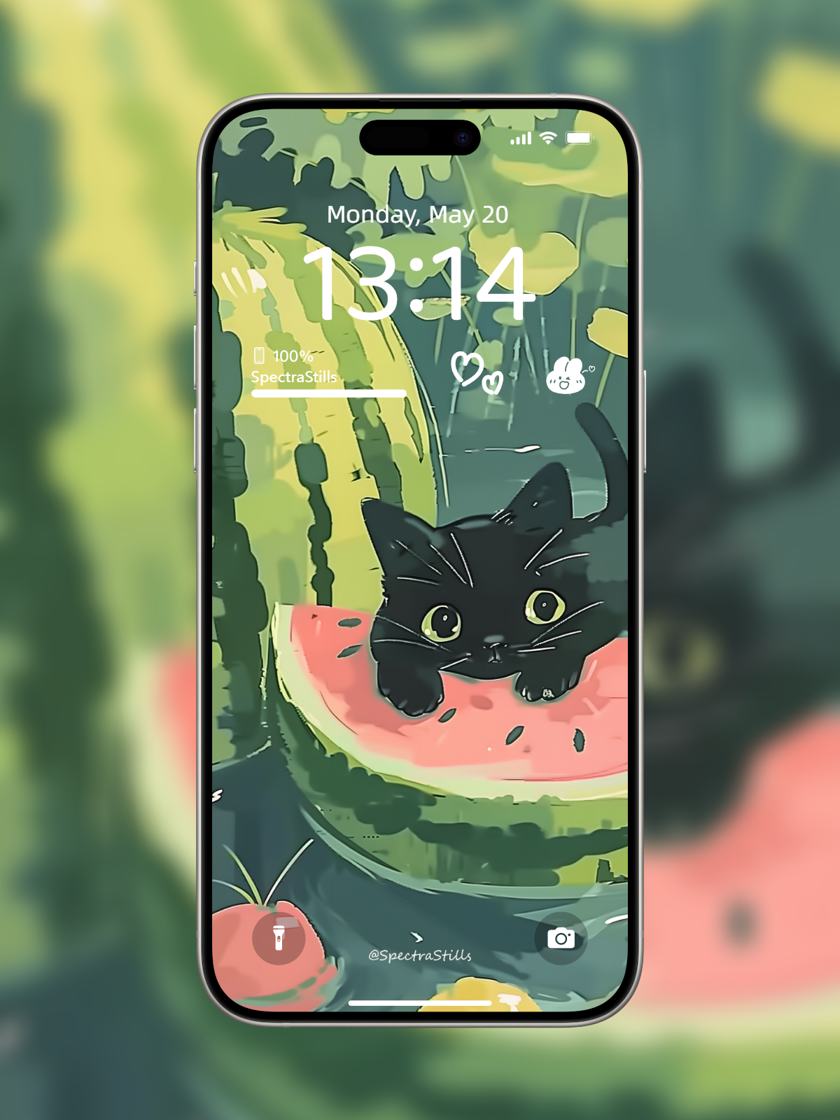 4K HD Wallpaper Background - 3-in-1 Black Cat and Watermelon Pond Phone Wallpaper Set